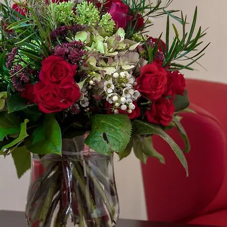 Plaza Inn Wels 4* Wels